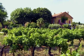 BEAU GITE EN PROVENCE 60 m2 interamente NOVE PIEDI DEL PIZZO MONTMIRAIL - Image 4