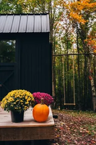 Off-Grid Tiny Cabin with Cozy Vintage Charm - Image 5