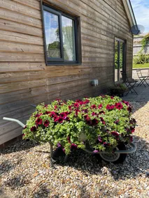 Lovely Lodge on one floor in Country setting - Image 5