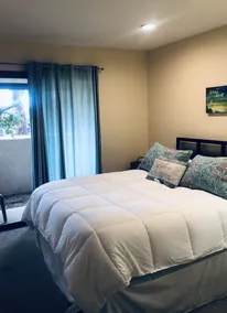 Del Mar Beaches~Luxury Ocean View Townhouse! - Image 5