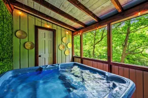 Wellness Cabin with Sauna, Hot Tub and 2 King Beds near Pigeon Forge - Image 3