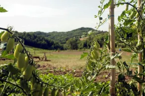 Ca' D'la Pèisa - Image 4