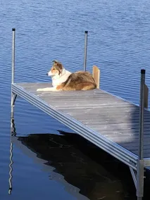 10 Steps And You're  In Sebasticook Lake. This Is Where You Go To Unplug - Image 3