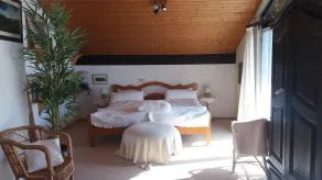 Romantic Black Forest house, enchanted garden, half-timbered town of Schiltach - Image 5