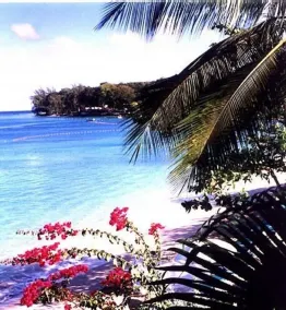Comfortable & spacious one bed westcoast apartment, near shops, beach and pool.  - Image 5