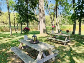Relaxing Getaway; Secluded 42 rustic acres yet close to attractions. - Image 5