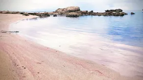 Villa Manuela sul mare - Image 4