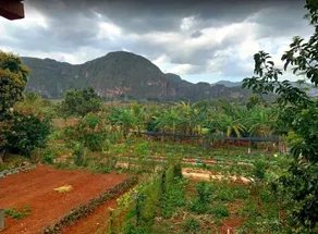 Villa Coco Solo - Image 5