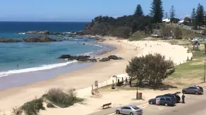 Family and pet friendly beach house - Image 3