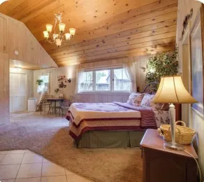 Cozy Historic Cabin Near Hiking - Image 5