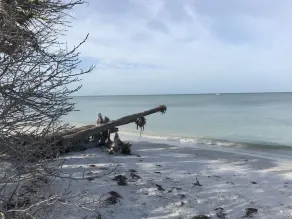 Short and easy walk to private beach access - Image 4