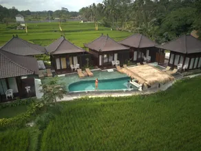 Great location near Ubud, Pool View - Image 4