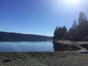 Hood Canal, 1930's Beach Cabin. 315' Cove with Oysters! - Image 5