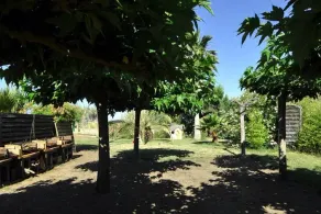 1 Bedroom Apartment in SAGONE - Image 5