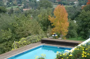 Charmig stuga, vacker panoramautsikt över bergen, pool, 2. 7 Acres - Image 5