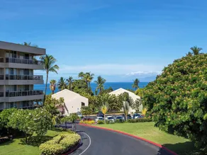 Maui Banyan G-105 - Image 4
