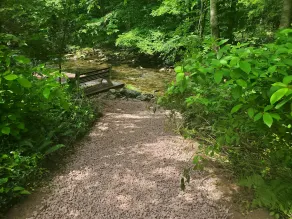 Private waterfront retreat in the Pocono mountains. Hot tub, Fire pit, Dogs ok - Image 4