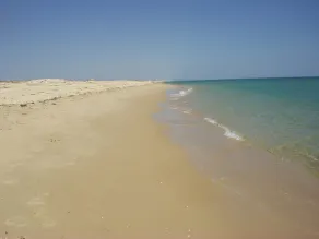 Moderno appartamento attrezzato con vista sul Parco Naturale Ria Formosa. Fuseta - Image 5