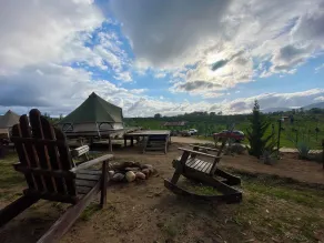 Cosmo Glamping - Image 3