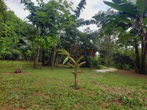 Cabinas Corcovado Green Parrot, Los Planes Drake - Image 5