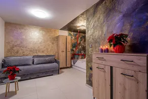 Wellness & Relax Apartment Lilly, Trebnje, Slovenia - Image 2