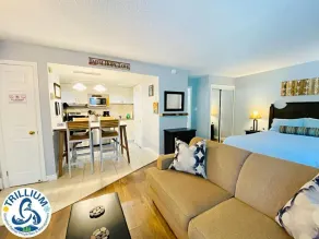 Mountainside Studio at 602 with Hot Tub - Image 3