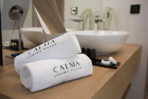 Calma Ii - Image 5