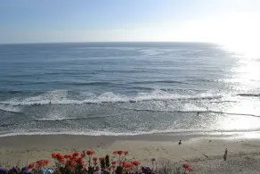 Beautiful Oceanfront Home, Gorgeous Views, Deck and Patio! Best Value! - Image 4