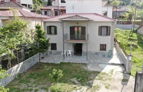PIALEIA - Image 3