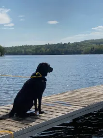 Hyggeligt Lakefront Cottage - Book nu til sommeruge 2019 uger! - Image 2