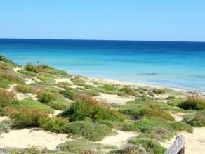 Sun Sea and Relaxation for your Family - Image 2