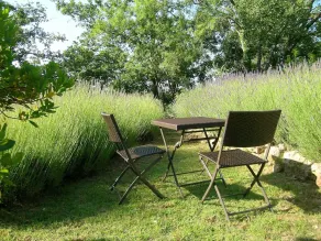 Traditionelles provenzalisches Bauernhaus mit Pool, ruhig, auf dem Land - Image 5