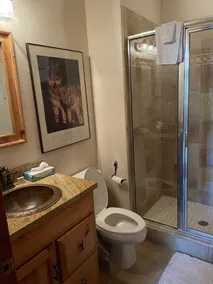 Stunning Arrowhead home 4bd 4bth -Beaver Creek - Vail - Door to door ski shuttle - Image 5