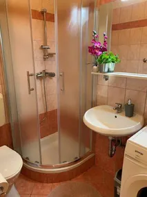 Luxury 4* house with private pool 32 m2 - Image 5