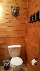 Running Branch Lodge (cabin) Nantahala,rafting,zipline,Wifi, dtv, firepit,stream - Image 3