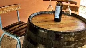 Choza del Picker - ajuste viñedo Pacífica - Image 5
