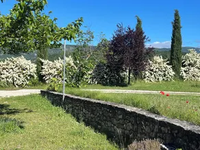 Sommerhusudlejning ved foden af Mont Ventoux omgivet af lavendel i Sault en Provence - Image 5