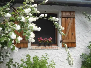 MAISON/STUDIO 70KM ouest Paris (près GIVERNY) calme. SPECIAL WEEKLY PRICE - Image 3