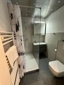 App 420 mit Schwimmbad und Sauna im Panoramic Hohegeiß Braunlage - Image 3
