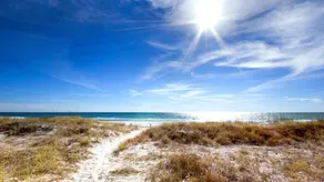 Ocean Spray - Image 4