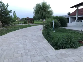 Battonya house - near Arad and border Turnu - Image 4