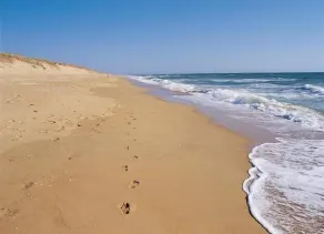 Celeiro no coração do pântano de Vendée Breton às portas das ilhas Noirmoutier Ye - Image 4