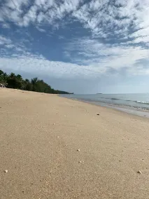 155 SalaCoco - Image 5