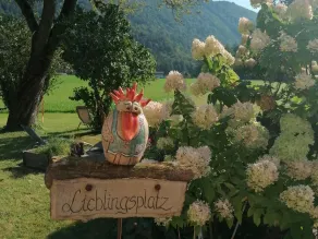 Organic Farm Vordergschwandtgut - Lejlighed - Image 4
