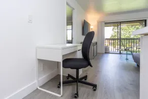 Bass & Sun Modern & Pool View !!! 2/2 Bedroom - Image 3