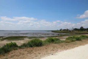 1km playa- Bassin d'Arcachon- Casa para 6 - Image 3