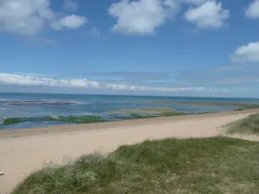 Hus 30 m fra sandstranden i La Brée Les Bains - Image 5