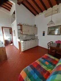 GREEN two-room apartment in farmhouse with swimming pool 8 km from Florence center - Image 3