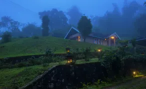 After The Rains,Wayanad - Image 3