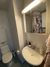 Geräumiges Dachgeschoss-Apartment, tropischer Samt - Image 3
